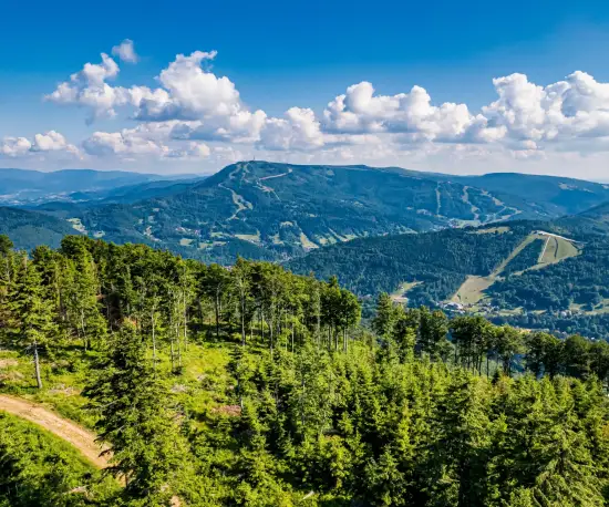 Grafika Panorama Beskidu Żywieckiego