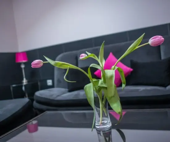 Grafika Eleganckie wnętrze pokoju hotelowego Dolce Vita